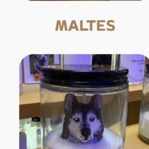 Molde Lobo