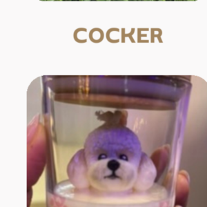 Molde Poodle