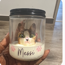 Molde Gato