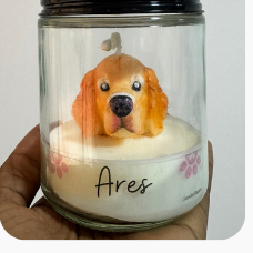 Molde Golden Retriever