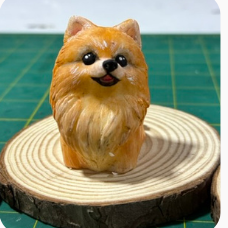 Molde Pomeranian
