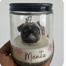 Molde Pug