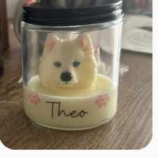Molde Samoyedo